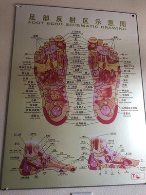 reflexology