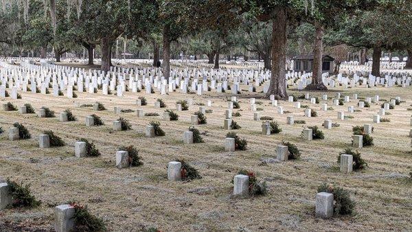 A mere portion of the graves of the veterans.