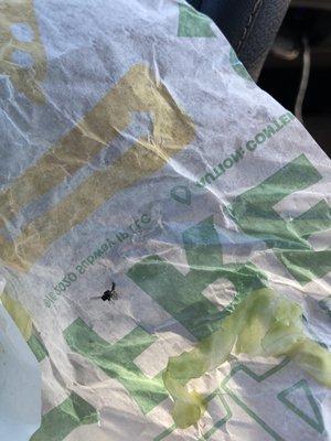 Subway wrapper with lettuce and dead fly that was in my sandwich