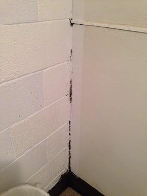 This is the black mold I discovered.... This is just a little bit, it's all throughout the bathroom