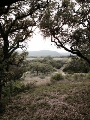 View from the back porch!