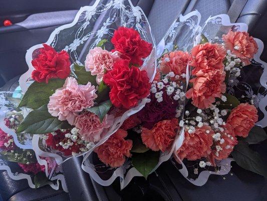 Floweristino bunches of bright and health carnations bunch of 6 for $7 bucks