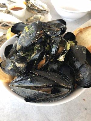 Steamed Mussels