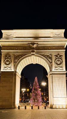 Christmas tree under the arch. January 2024