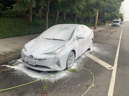 Interior and Exterior Pro Detail, Toyota Prius