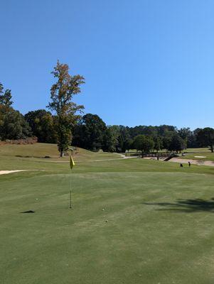 6th green, looking back on the 6th hole.