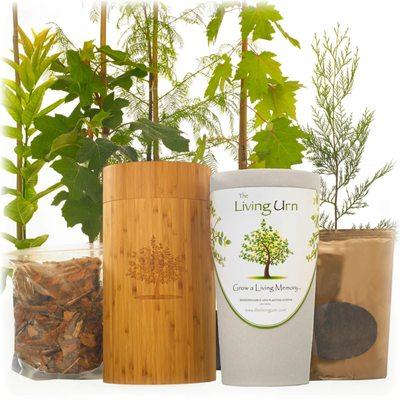 Turns your Loved-one's ashes into their favorite tree