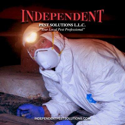 Independent Pest Solutions - Technician