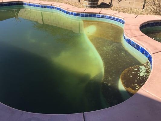 Do You Have a Green Pool?