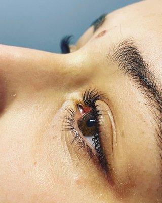 Eyelash Lift and Tint