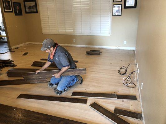 Removing old pergo in family room