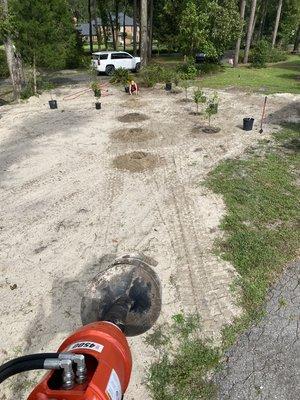 Citrus Grove. Holes created by skid steer with auger attachment.