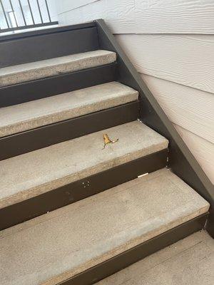 Trash on the stairwell