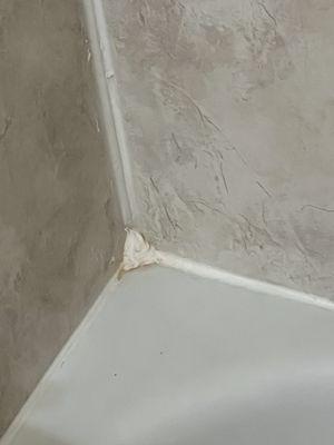 Mold in bathtub.