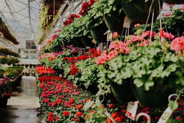 Prairie View Farm Market