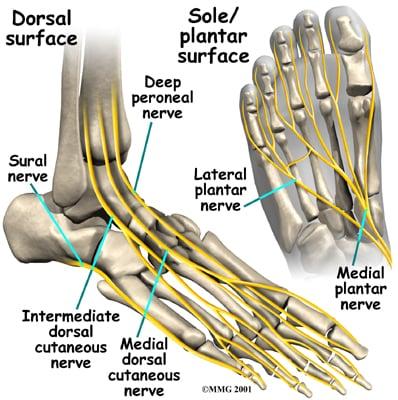 Nerve Testing & Repair Center