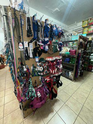 dog leashes and harnesses