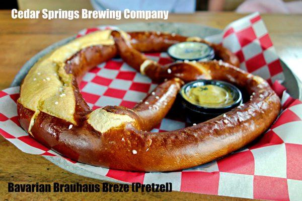 Cedar Springs Brewing Company