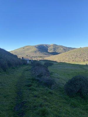 View towards bathrooms from the picnic table