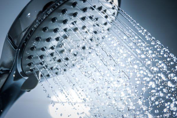 Tiger Bath has a great variety of shower head options.