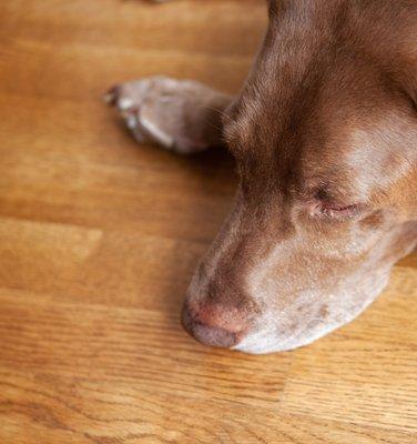 Hardwood Flooring !!!