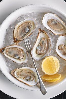 Oysters