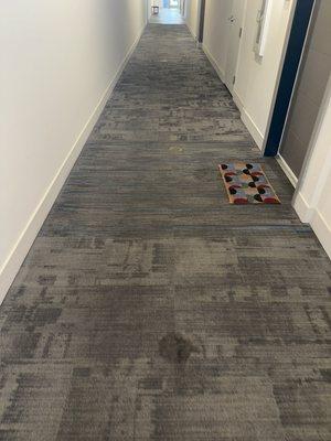 Commercial carpet hallway in a Fort Lauderdale residency.