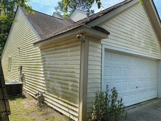 Green Mold on Vinyl siding before soft wash