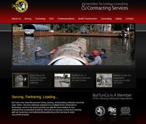 Website Design for BorTunCo.com