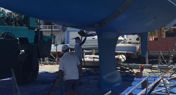 Bottom painted at Key Largo Harbor Marina.