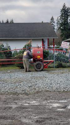 That was how they were putting the tree wrapping but then it was just ropes instead