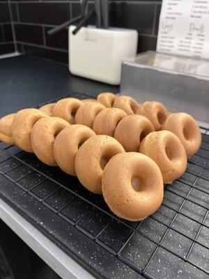 Freshly made donuts