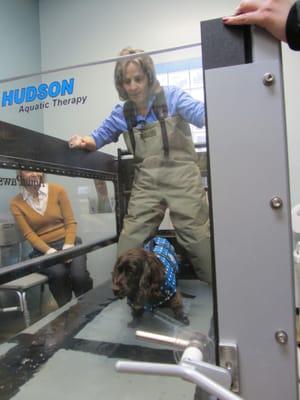 Otter and Dr. Rosemary LoGiudice finishing an underwater treadmill hydrotherapy session.