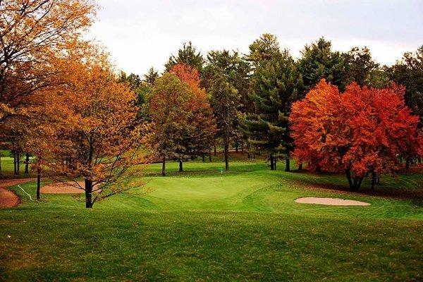 #16 Green in the fall