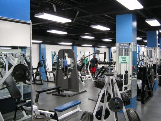 Downstairs Dungeon mens weight lifting room.