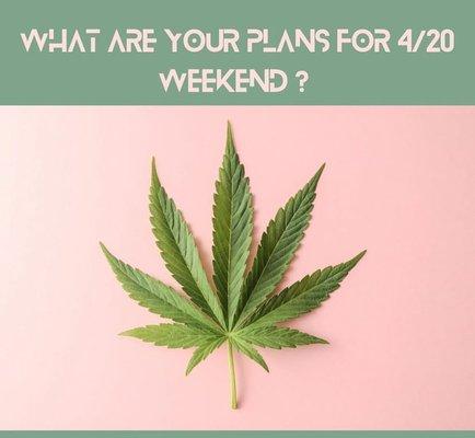 What are your plans for 420 ?