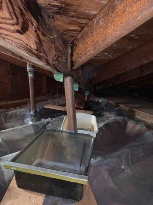 Roof leakage observed in the attic!