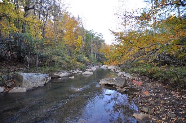 Abrams Creek