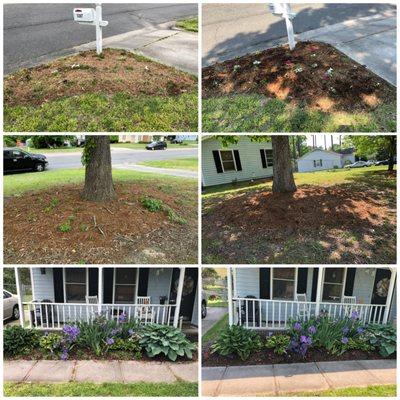 weeds and flower beds