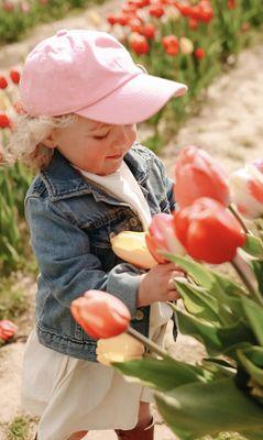 Long Island Tulip Festival