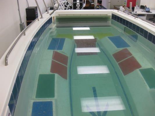 SwimEx Warm water pool with mulitple depths, resistance turbin and underwater treadmill.