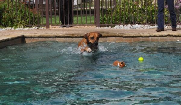 Enjoying a pool time