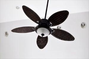 Ceiling Fan Repairs