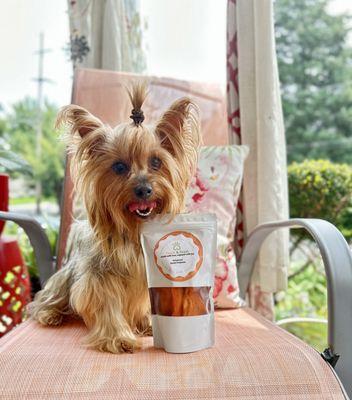 Traditional Yorkshire terrier with Fetch and Feast dog treats