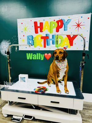 Celebrating Wally's Birthday