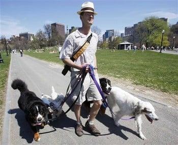 Walking the pack through the Common [April 2010]