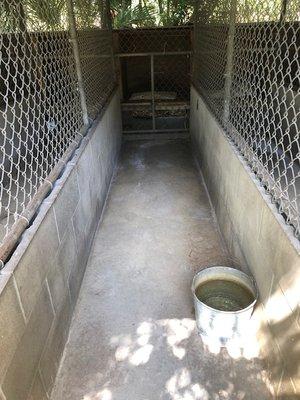 Inside Look at Outside Kennels