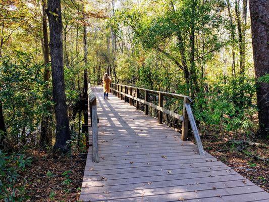 Moore's Creek Bridge at Moore's Creek National Battlefield Park