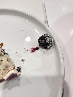 Molded blackberry on blueberry chiffon cake