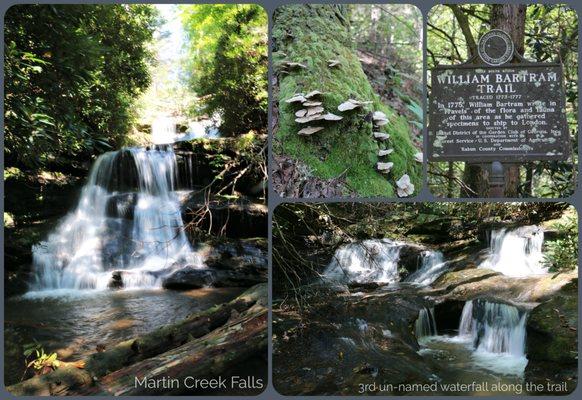 Becky Branch Falls